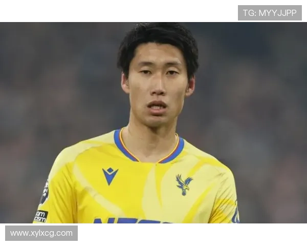 水晶宫球员表现