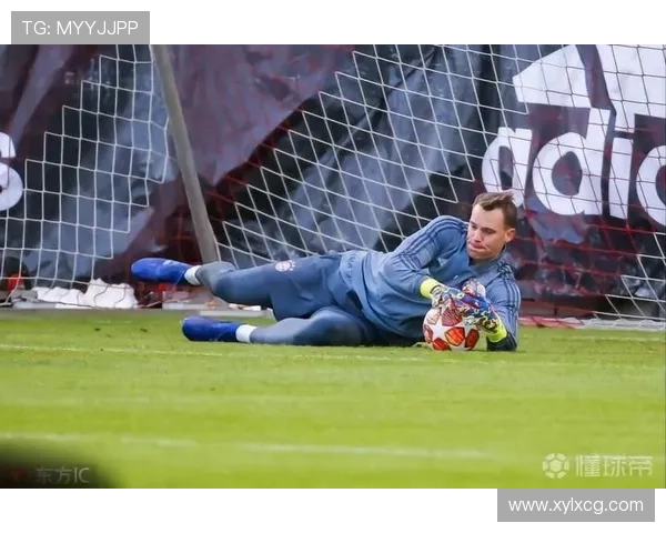 阿利松与诺伊尔比较