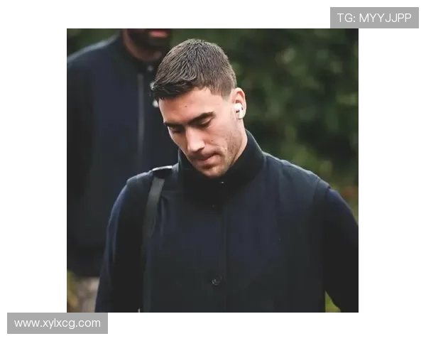 弗拉霍维奇禁区统治力解析：传统9号模板的现代演绎