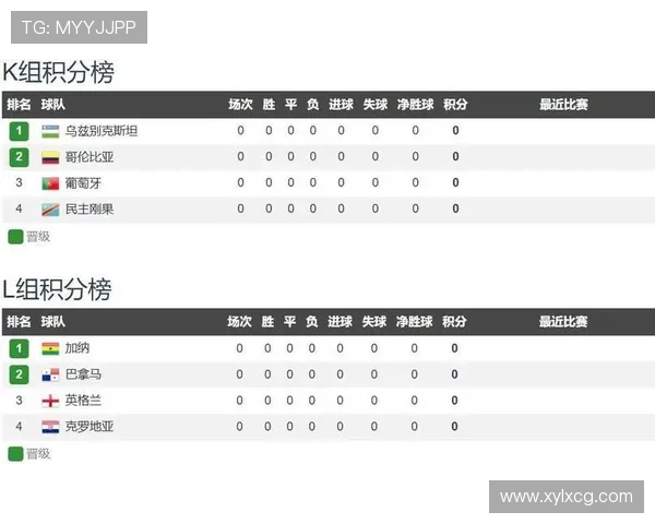 加纳队小组赛数据：进球、积分与排名整理